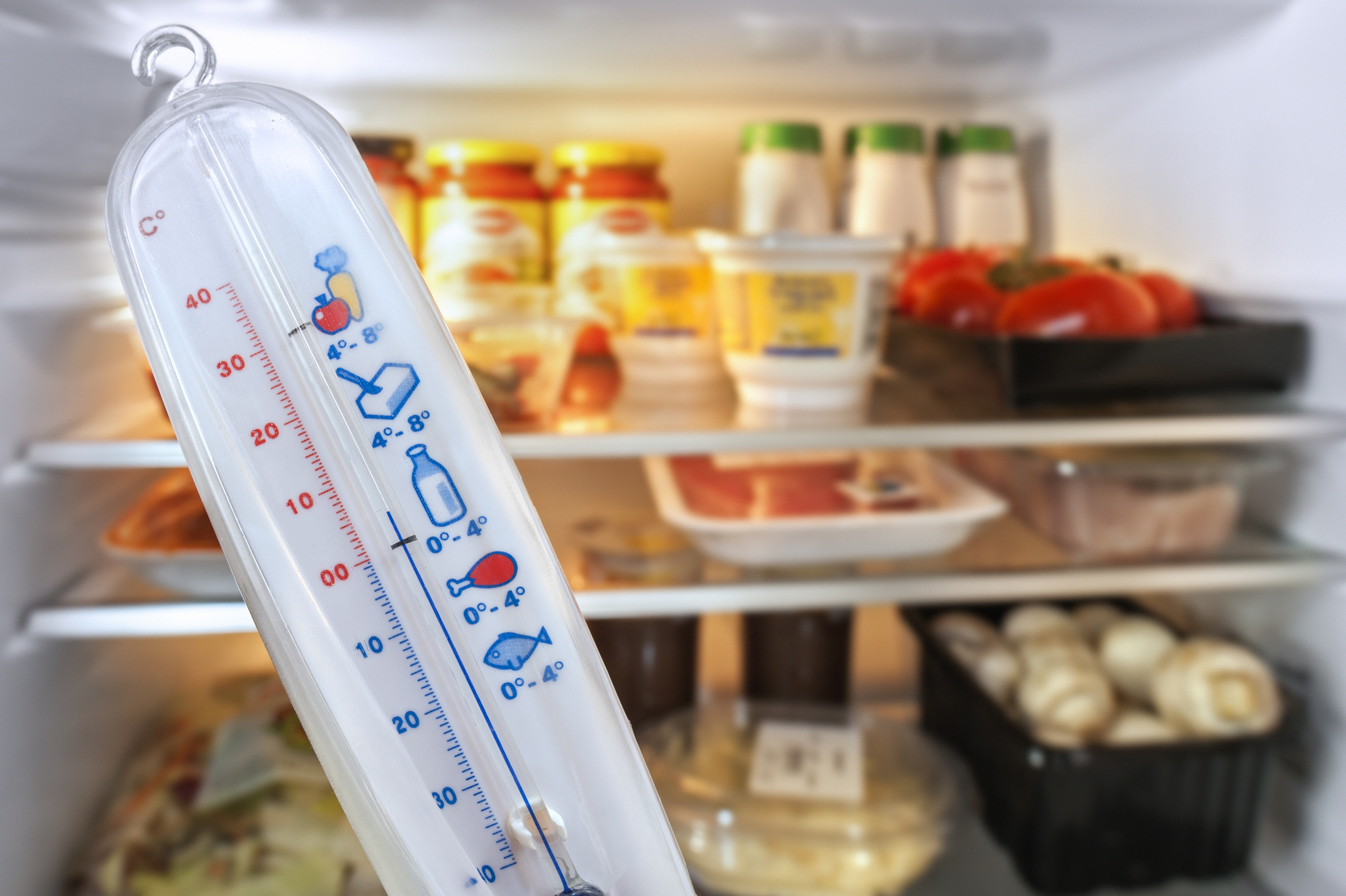 A close up of an analog refrigerator thermometer with a refrigerator in the background 