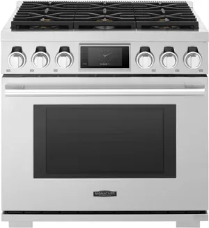 Front view of the Signature Kitchen Suite SKSDR360S range 