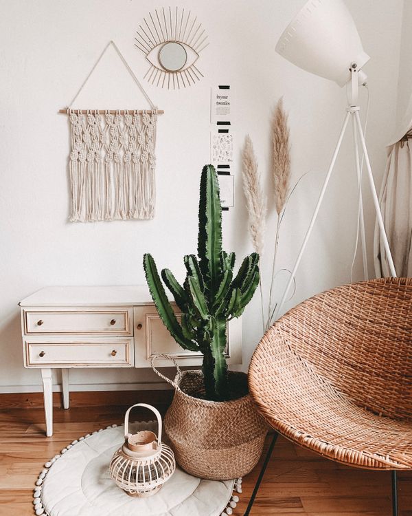 Cactus plant surrounded by boho style decor
