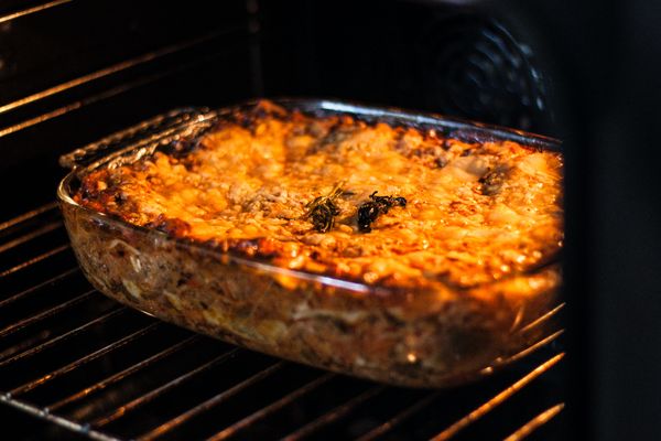 Cooking Food in Convection Oven