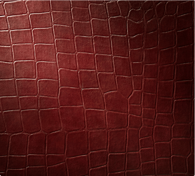 A close-up of the texture of a Croc Cuts Leather Panel
