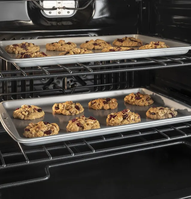 GE Electric Built In Double Oven