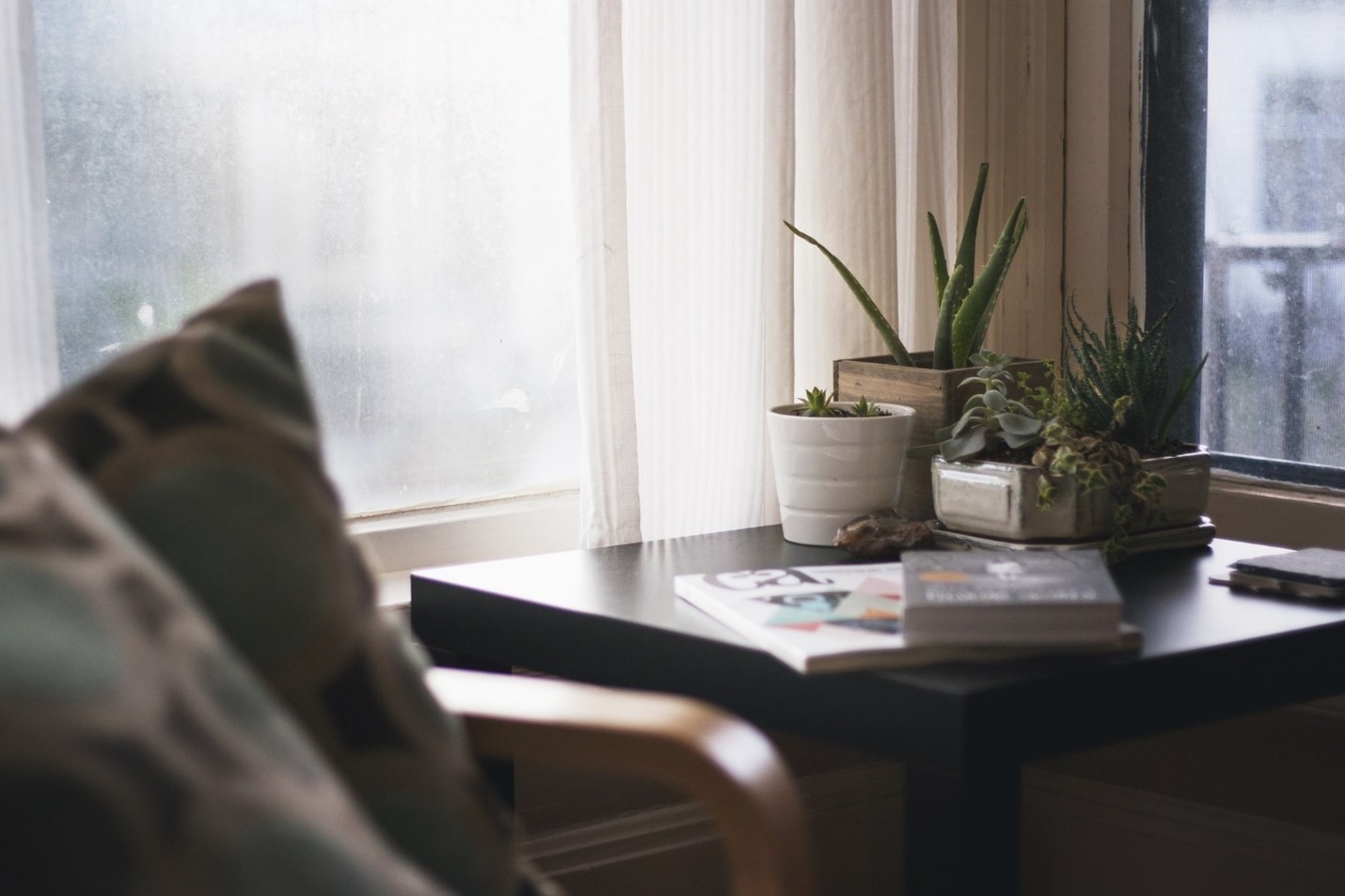 side table in front of a window with a plant on it