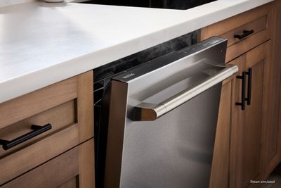 Credit: Maytag The Maytag MDTS7024SZ dishwasher ajar