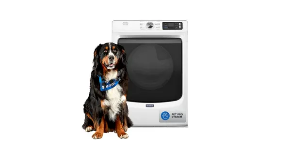 The Maytag MED7020RW washer with a dog 