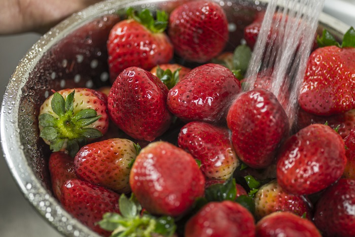 Washing strawberries in kitchen sink.