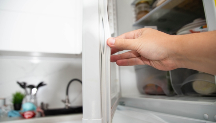 Closeup of someone checking the door seals on their refrigerator