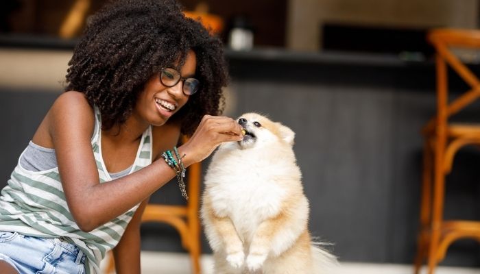 young girl feeding dog treats