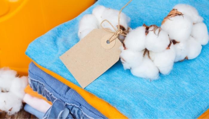 Folded cotton clothes with cotton plant on top