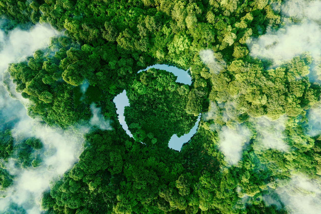 a forest with recycle symbol 