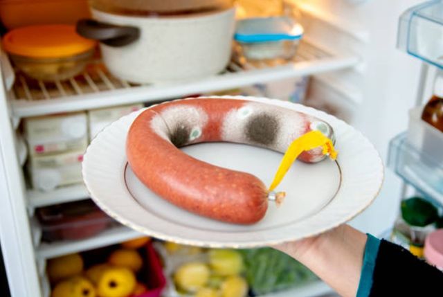 front view of an arm holding a plate of moldy sausage in front of a full opened refrigerator