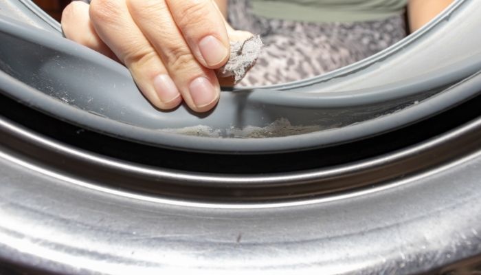 Mold and mildew growth around door seal