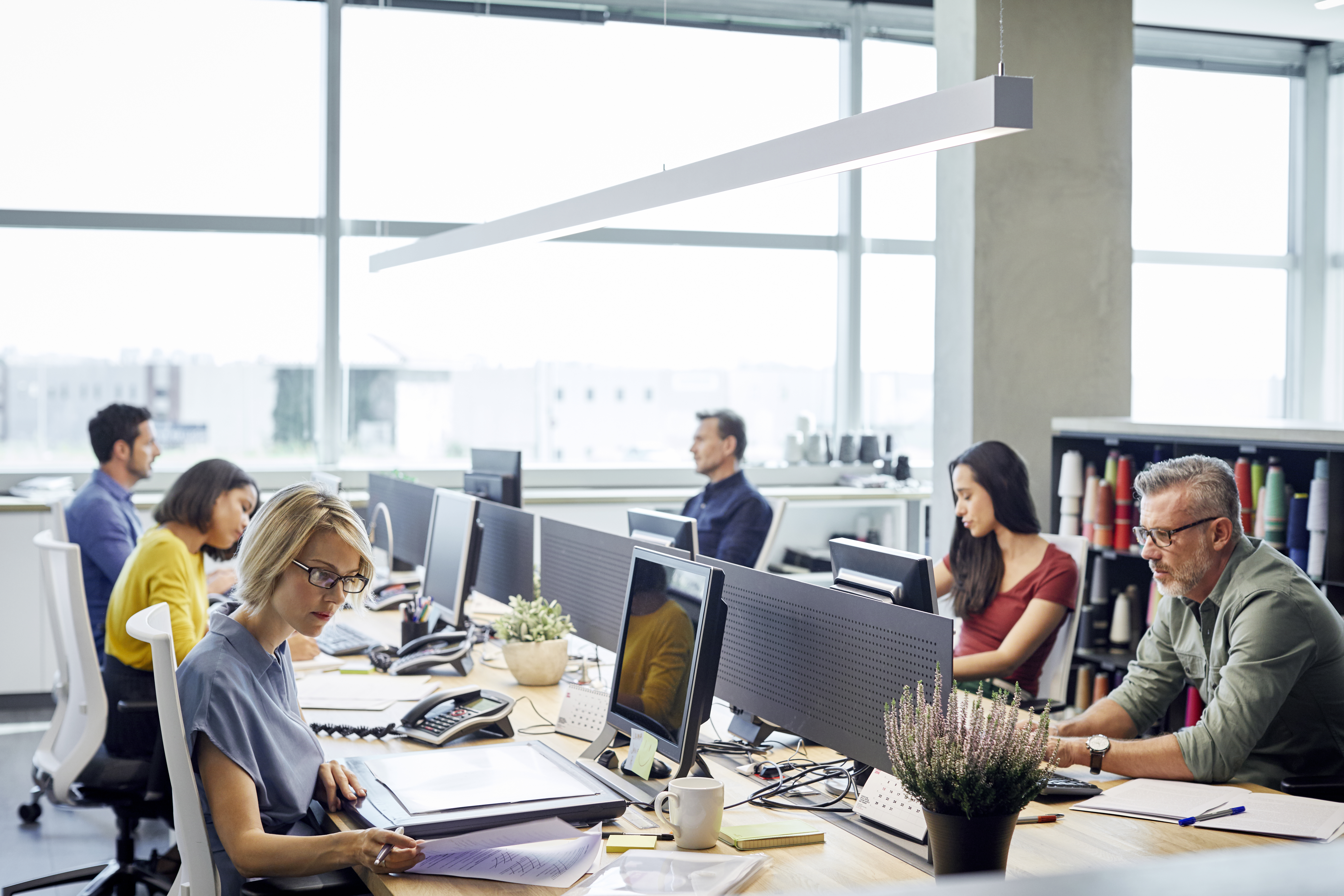 people working at the office