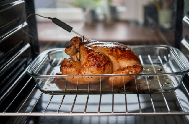 what-is-air-sous-vide view from the inside of an oven facing outwards of a chicken with a thermometer beind cooked air sous vide style