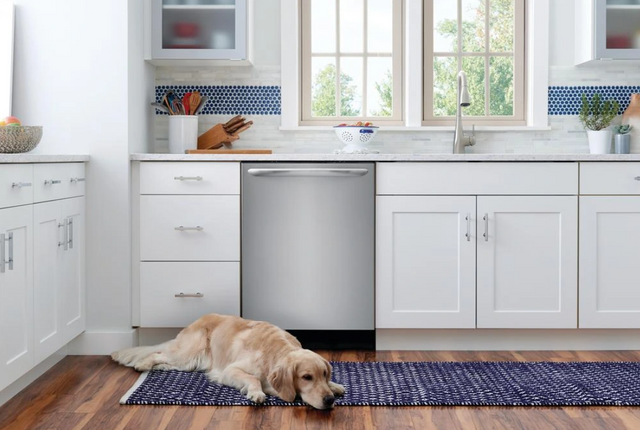 front view of a modern kitchen with white walls and cabinets, a stainless steel dishwasher, and a golden retriever napping on the floor in front of it