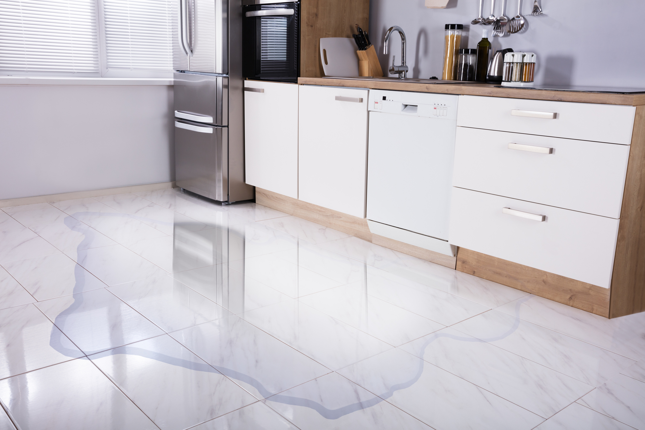 close up of dishwasher leaking on the floor