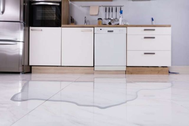 dishwasher leaking onto a floor in a white kitchen