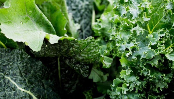 A closeup of crisp, leafy green vegetables.