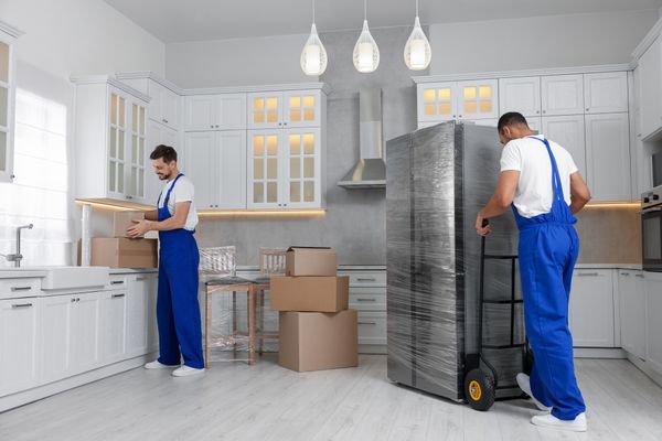 Two delivery men in blue overalls delivering a refrigerator 