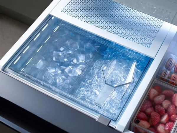 Freezer drawer with two types of ice