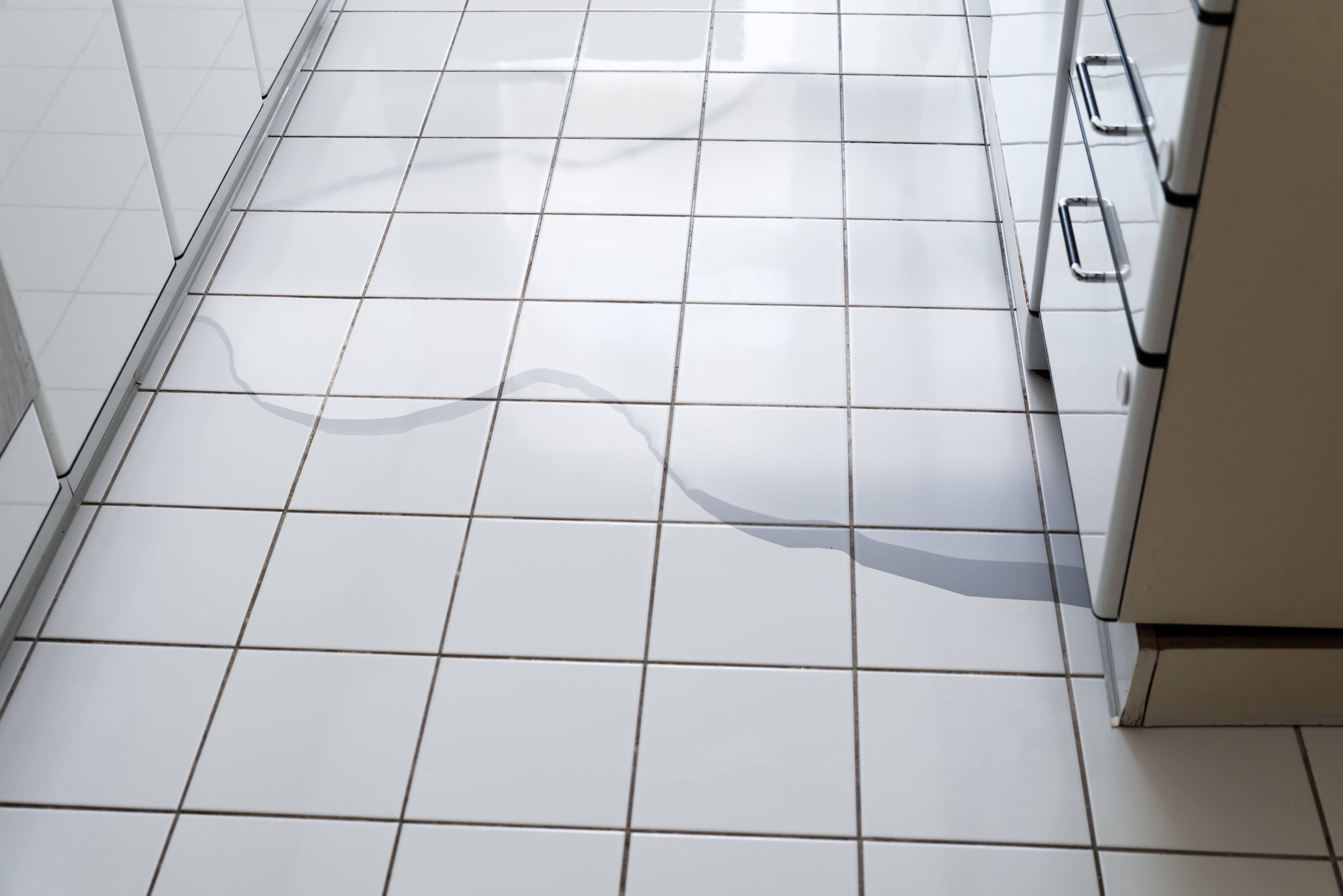 A puddle of water on a kitchen floor 