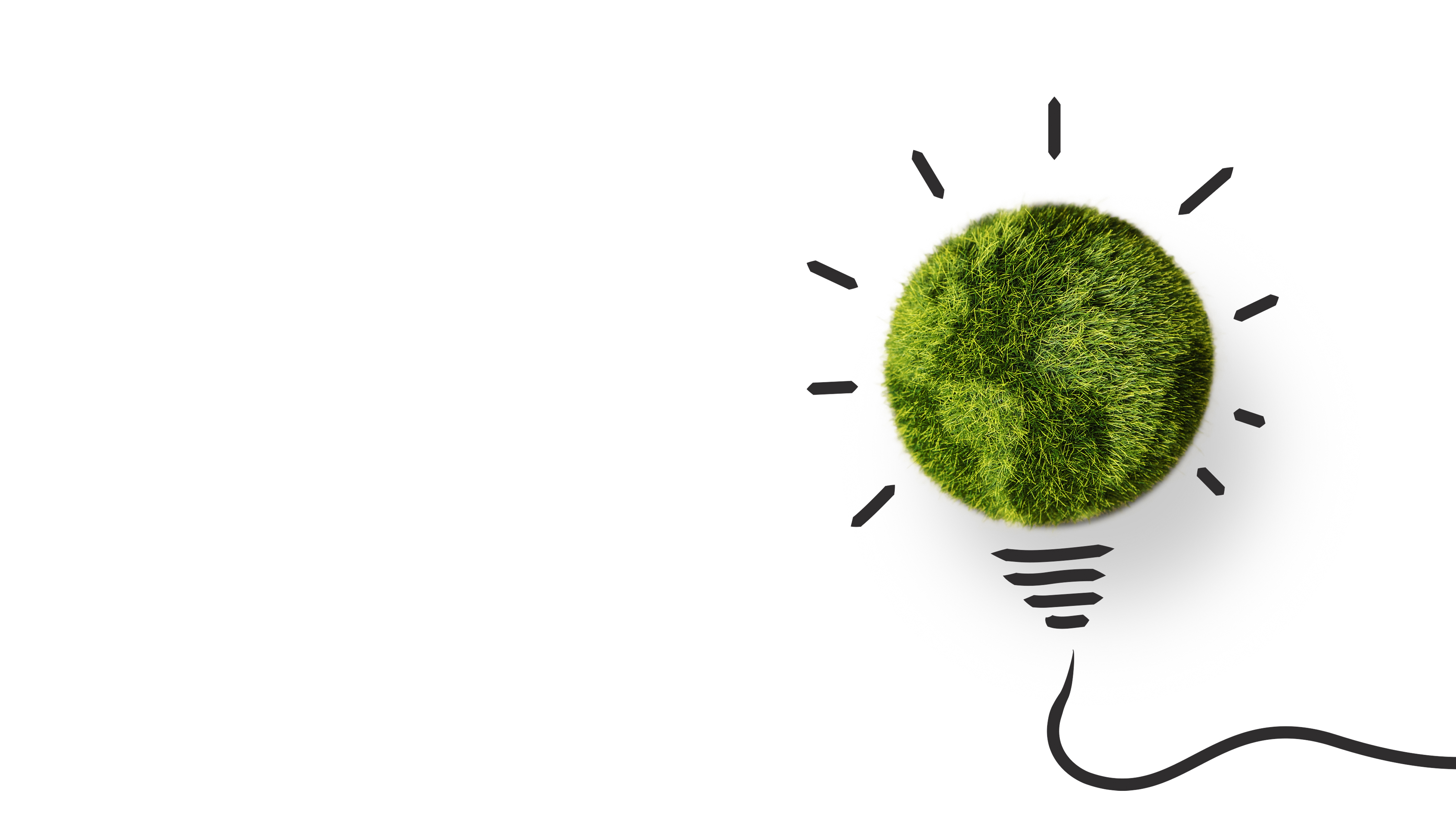 A globe made of grass shown with a graphic of a lightbulb 