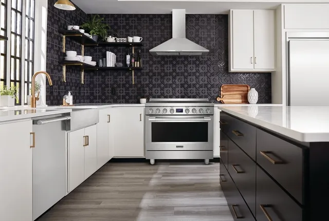 Frigidaire Professional gas range and range hood in a well lit kitchen
