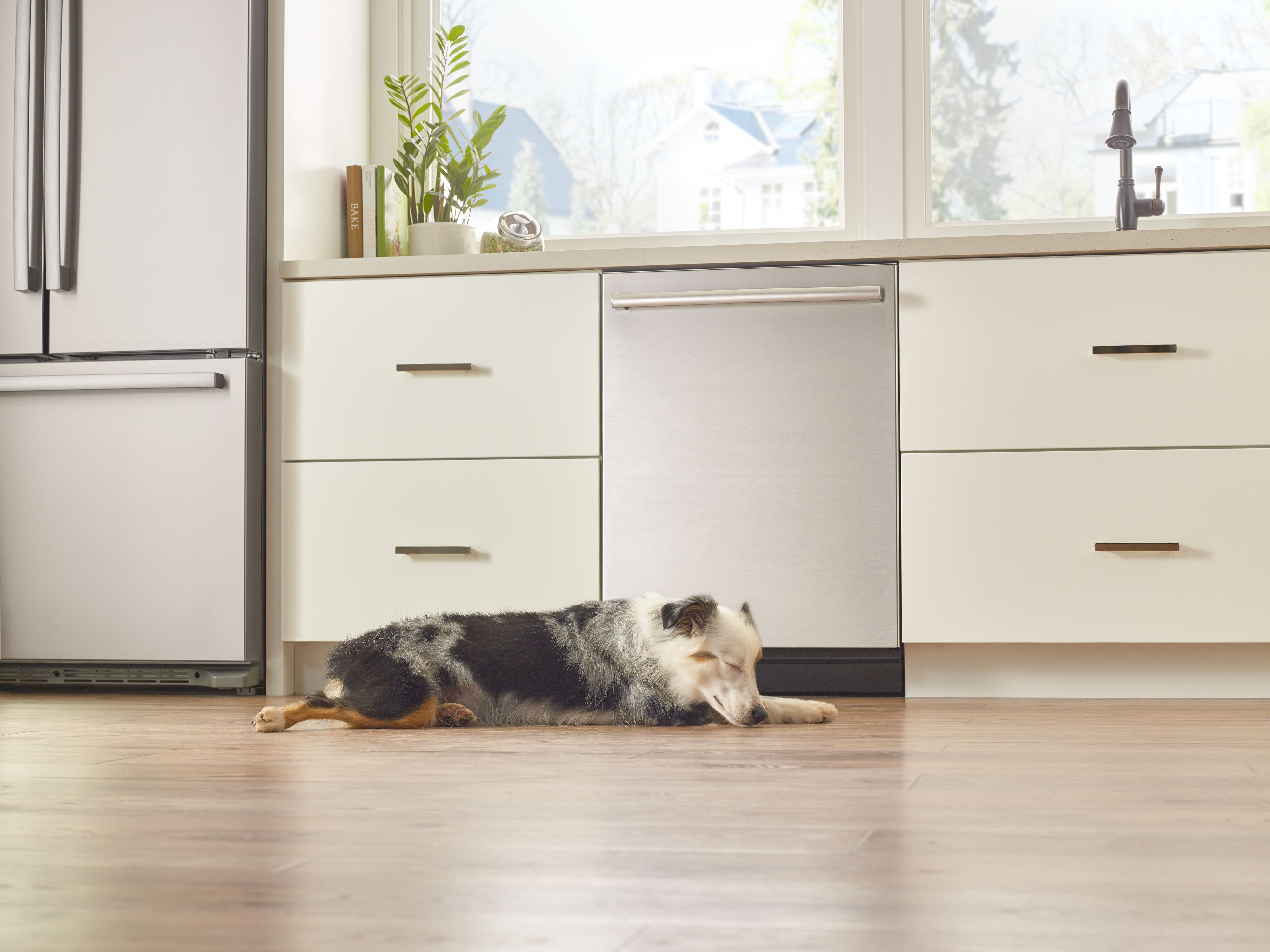 A dog sleeping next to a Bosch dishwasher 