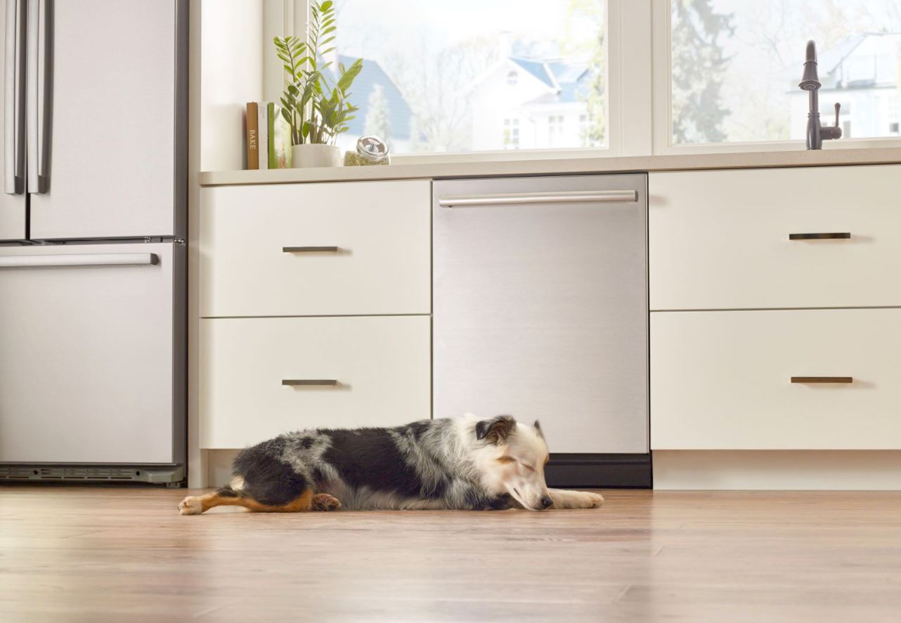 dog taking a nap in front of the dishwasher
