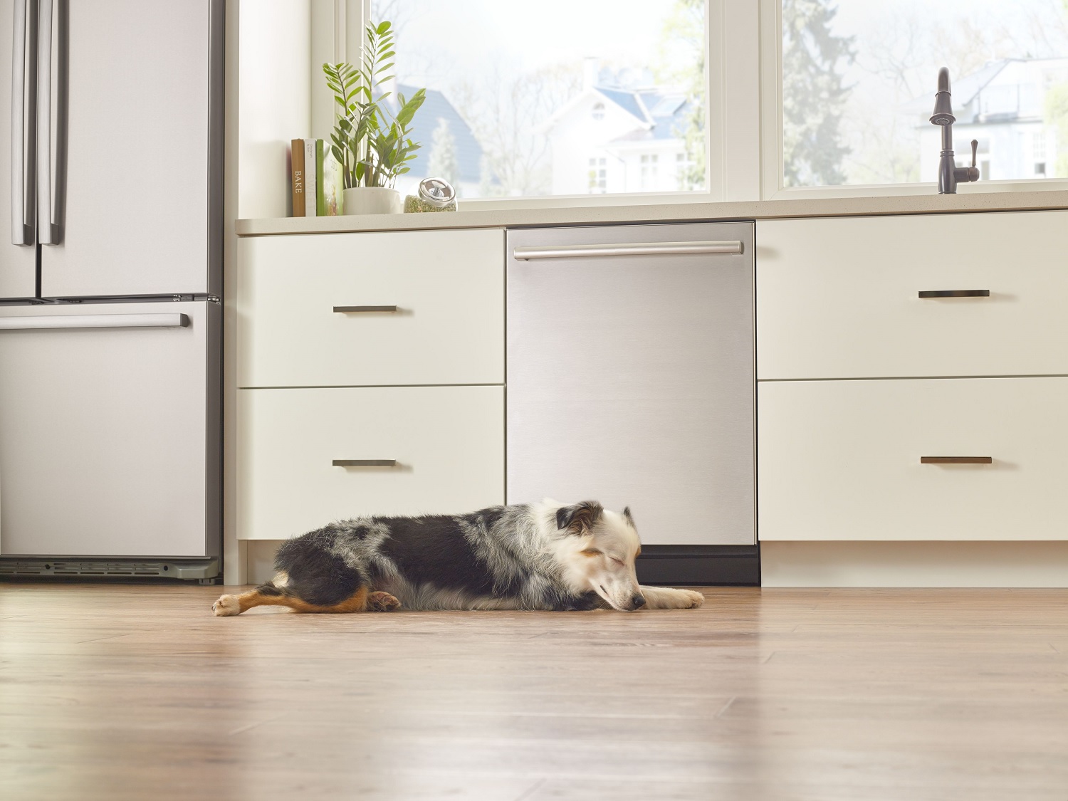 dog sleeps peacefully in front of Bosch stainless steel dishwasher