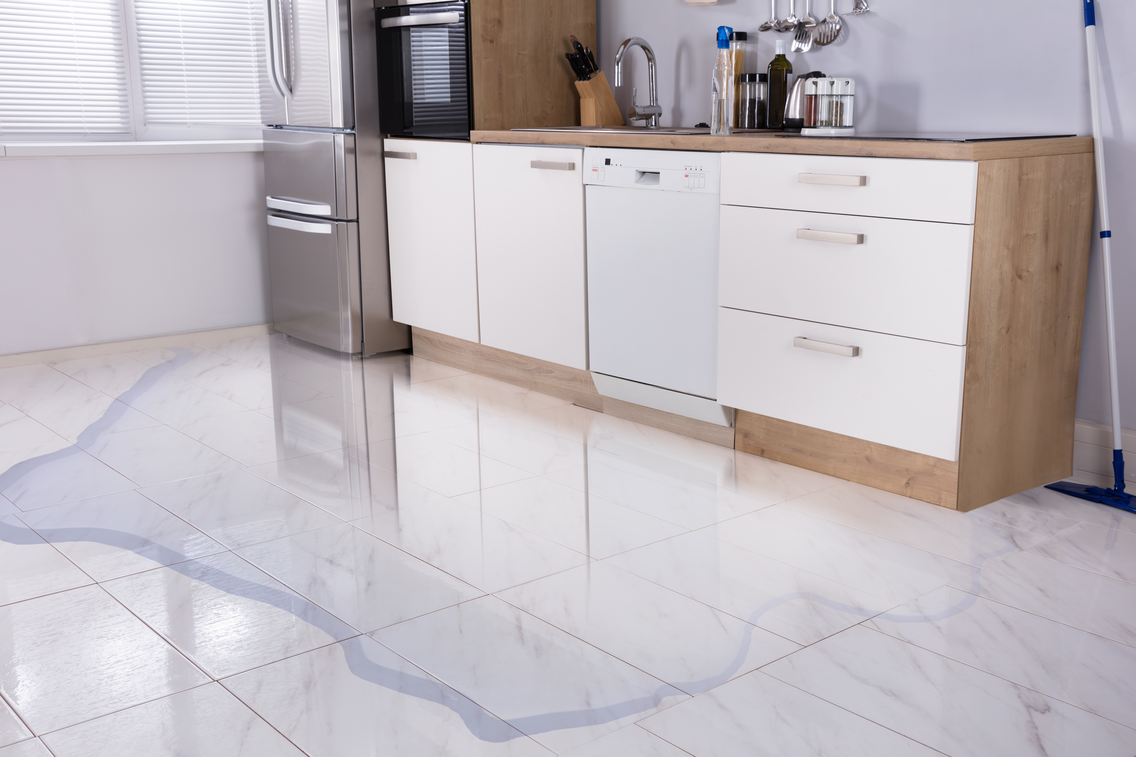 A refrigerator leaking water 