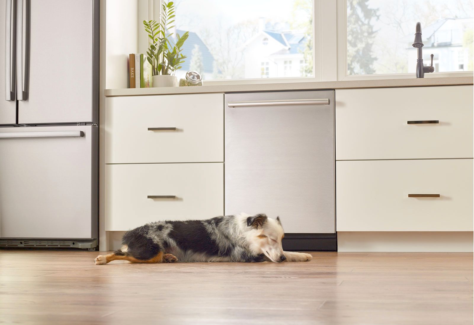 sleeping dog rests in front of quiet Bosch dishwasher