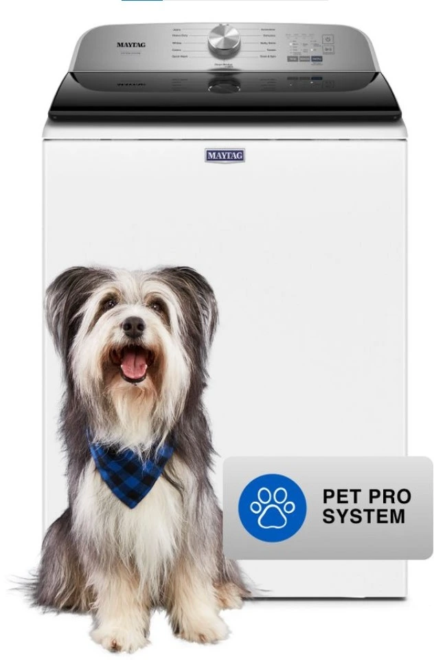 A dog sitting before the Maytag MVW6500MW Pet Pro top load washing machine 