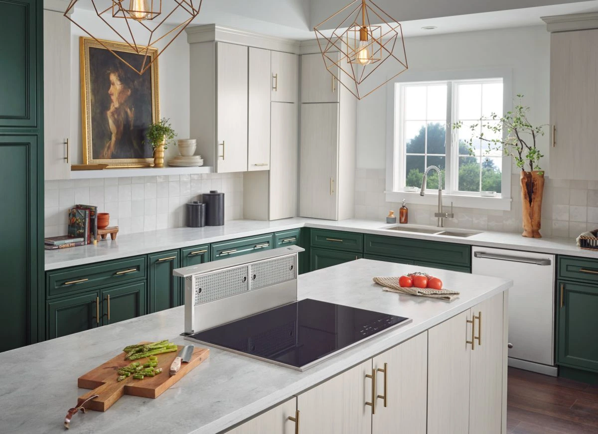 The Broan Elite RMDD3604 36” downdraft range hood 