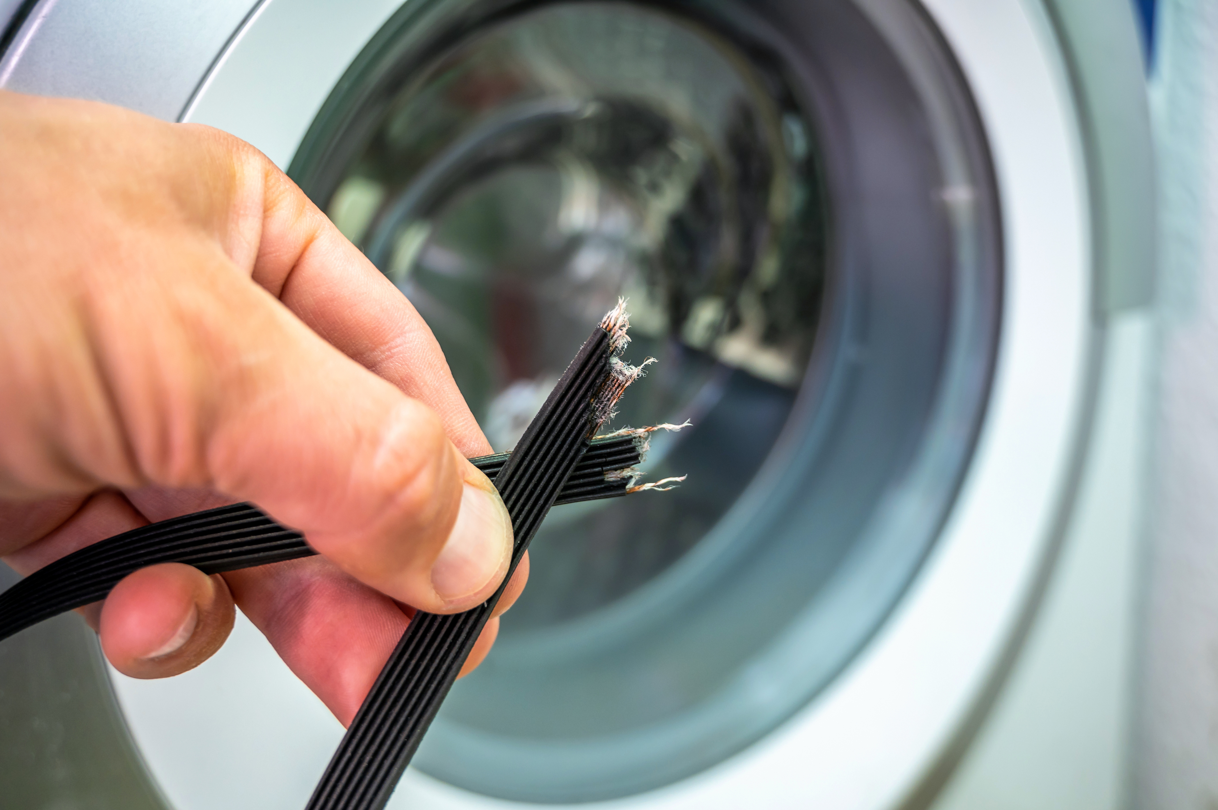 A person holding up a broken washer belt with a washer in the background 
