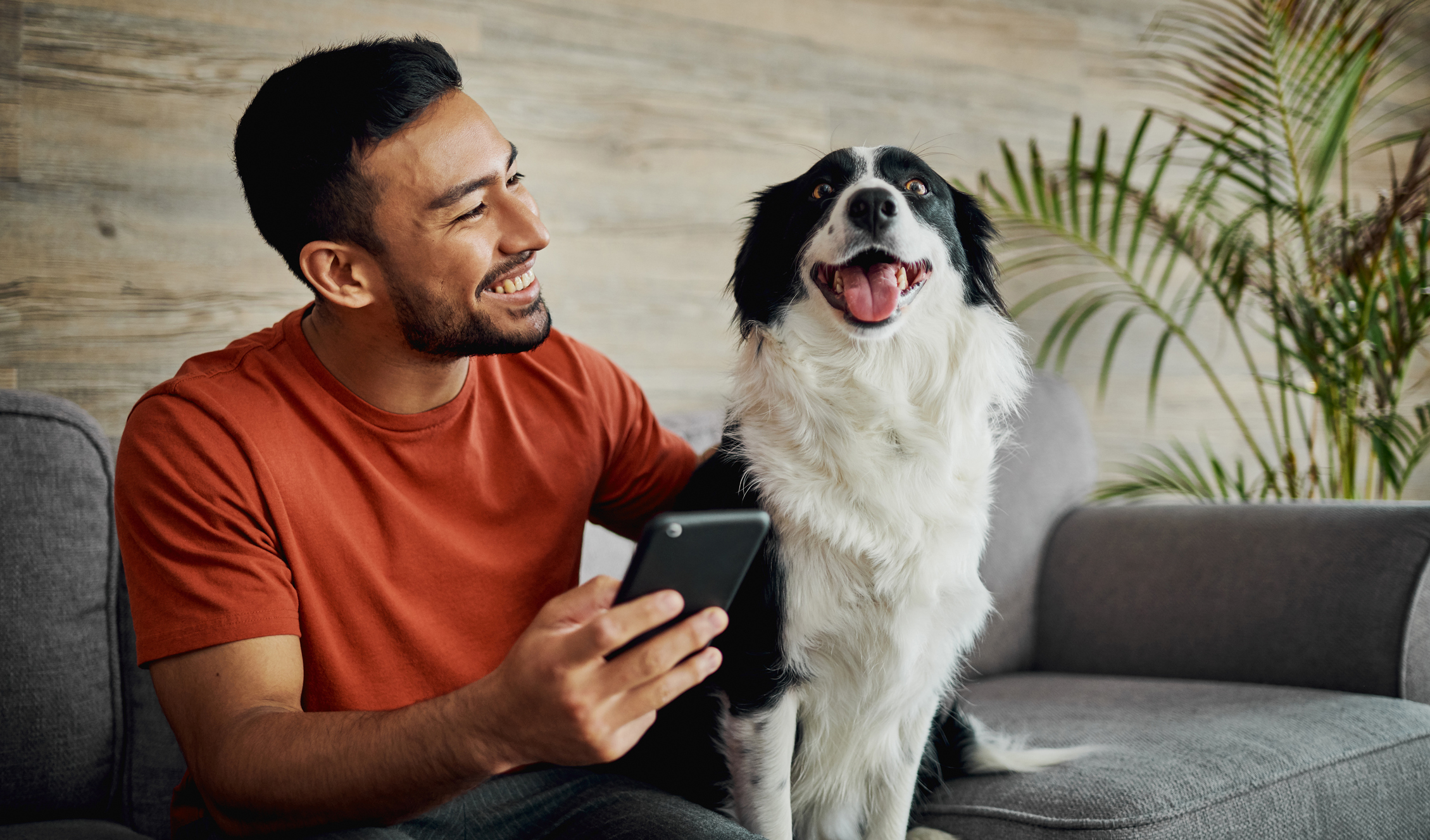 A man in a burnt orange shirt smiling while petting an Australian shepherd 