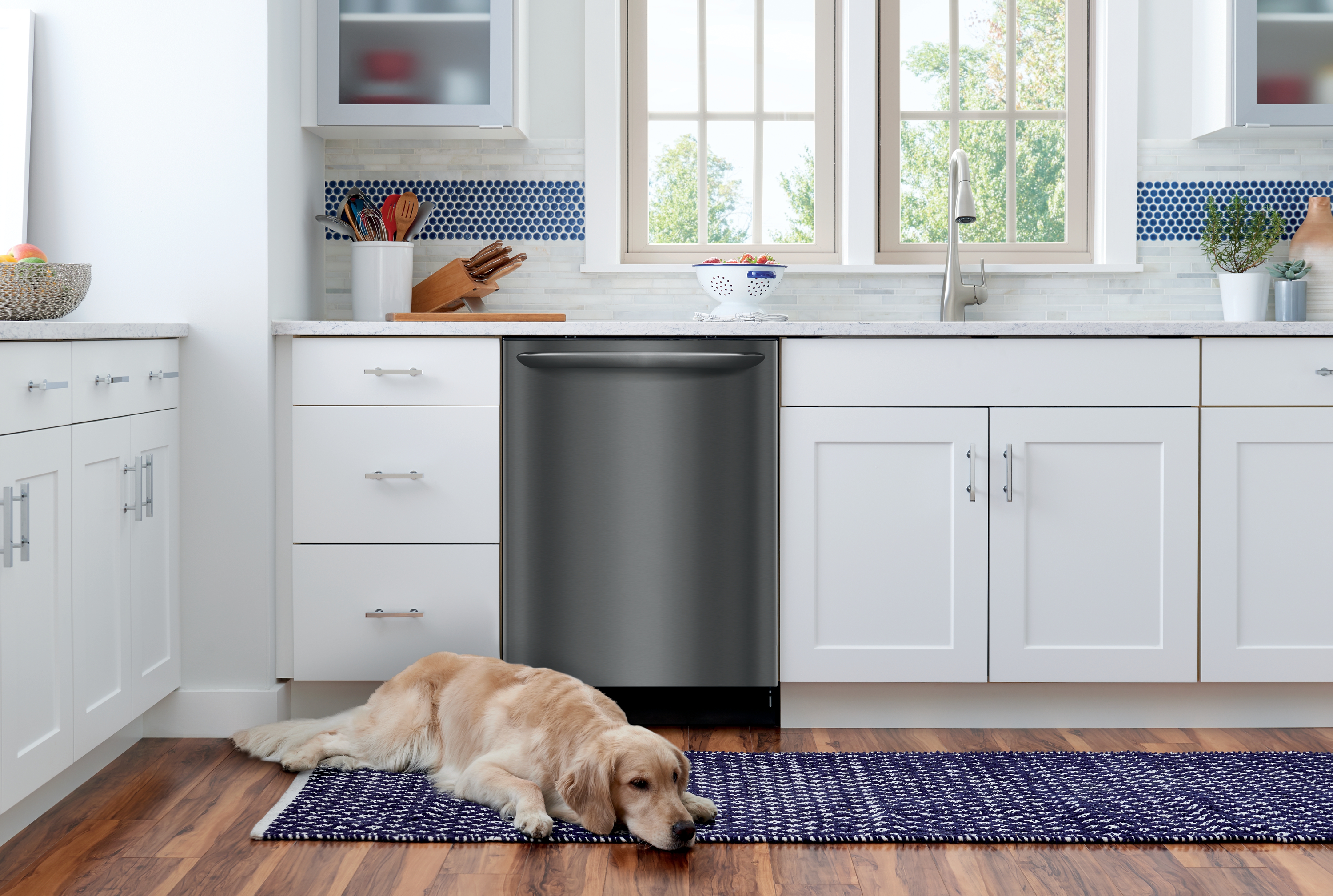 A dog sleeping in front of a Frigidaire Gallery black stainless steel dishwasher 