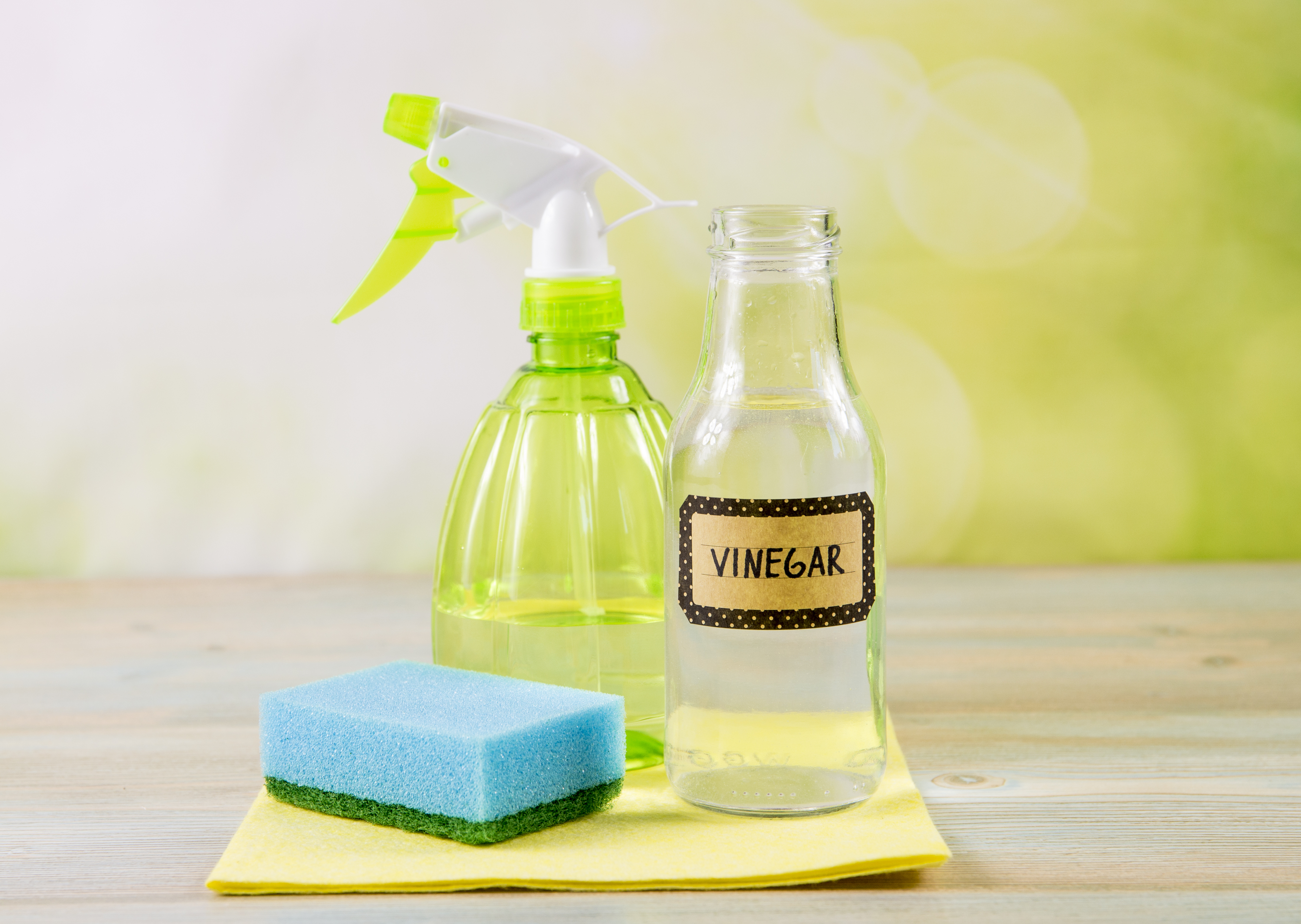 A bottle of white vinegar, a spray bottle, and a sponge 