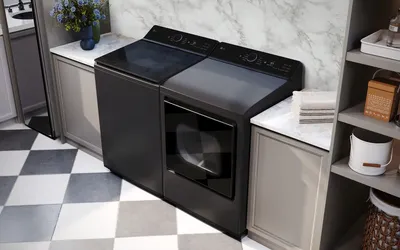 LG Matte Black Gas Dryer