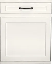 Front view of the Monogram ZDT925SINII dishwasher 