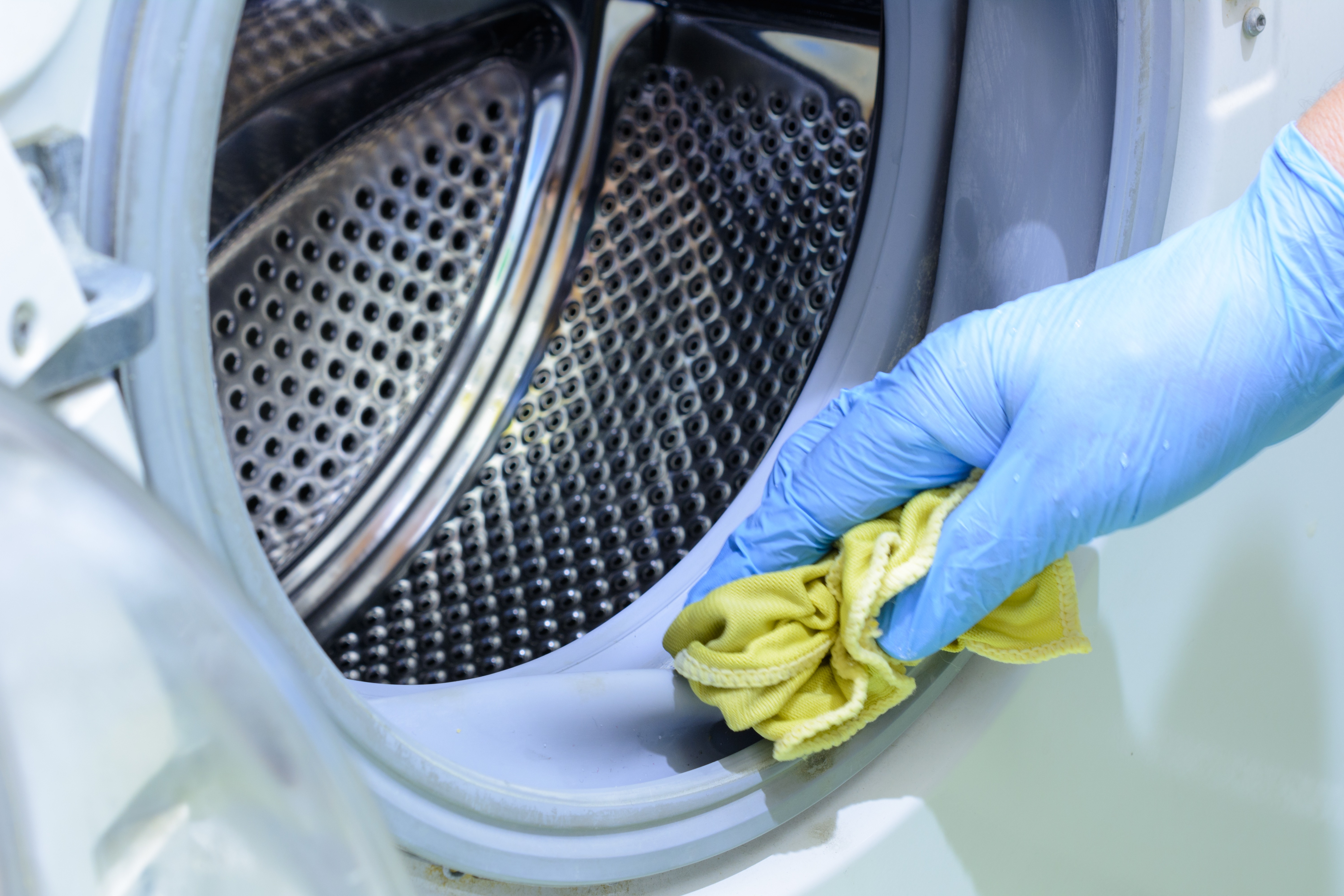 A person cleaning the door gasket of a front load washer 