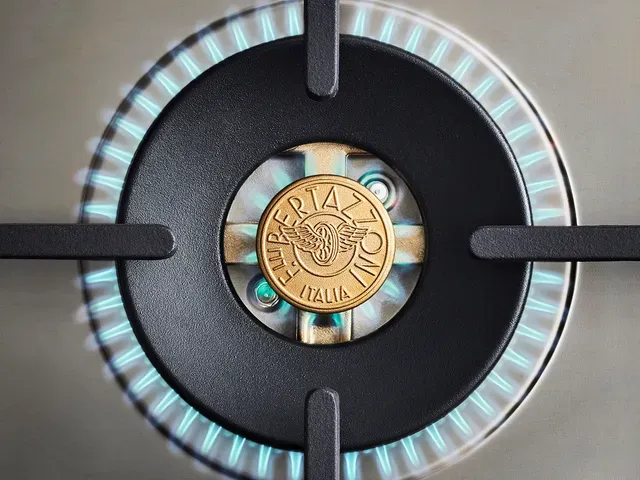 top view of a bertazzoni gas range burner