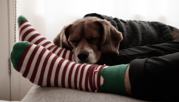 Here are some tips on how to stay warm this season!