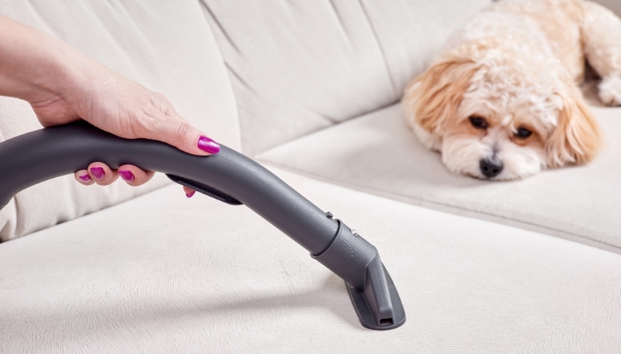 Use a soft brush vacuum attachment to clean your sofa.