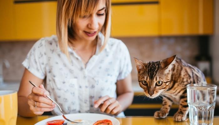 Woman eating with cat
