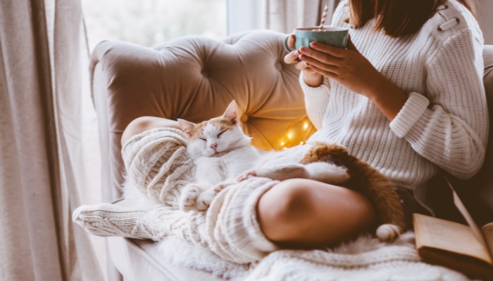 What makes a home or space cozy? Read on to learn more.