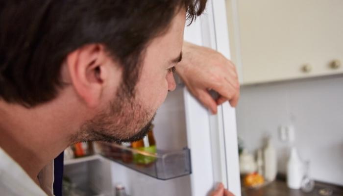 Be sure to replace your refrigerator gaskets if they are torn or weakened. 