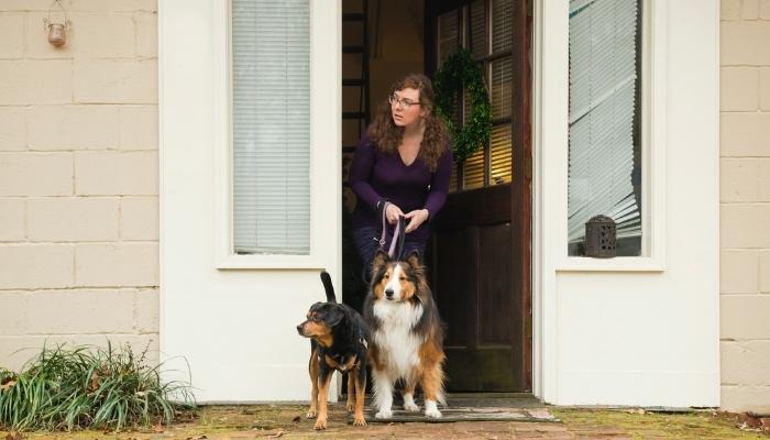 Dog walker leaving house with the dogs