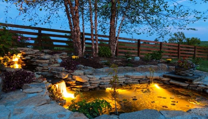 Garden pond with lights