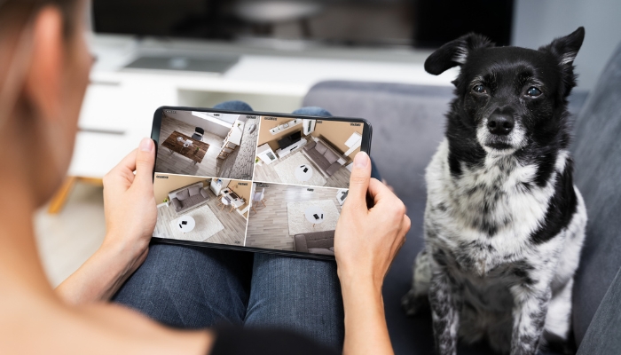 Closeup of someone reviewing their home footage with their dog next to them